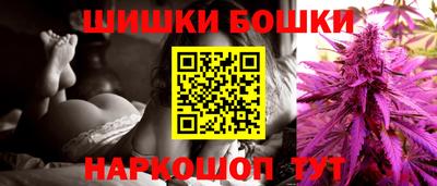 бошки Новодвинск