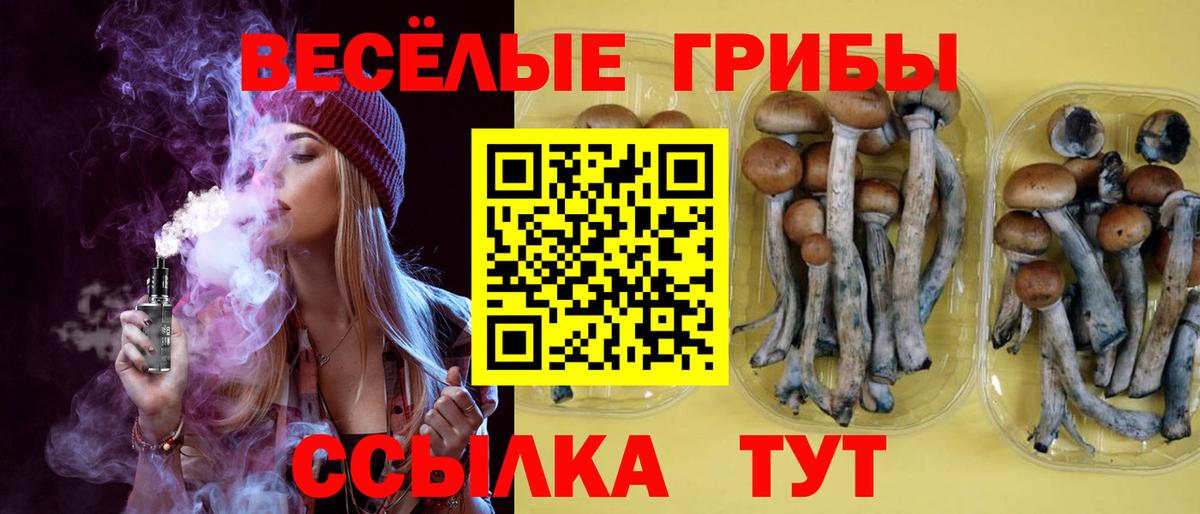 Галлюциногенные грибы мицелий  Вход с VPN  Галлюциногенные грибы ЛСД  дарнет шоп  Тверь 