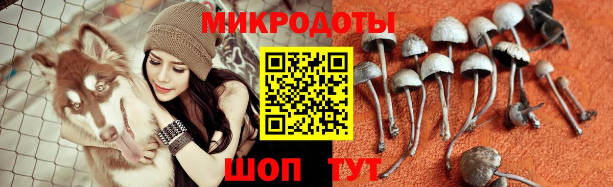 Галлюциногенные грибы MAGIC MUSHROOMS Тверь