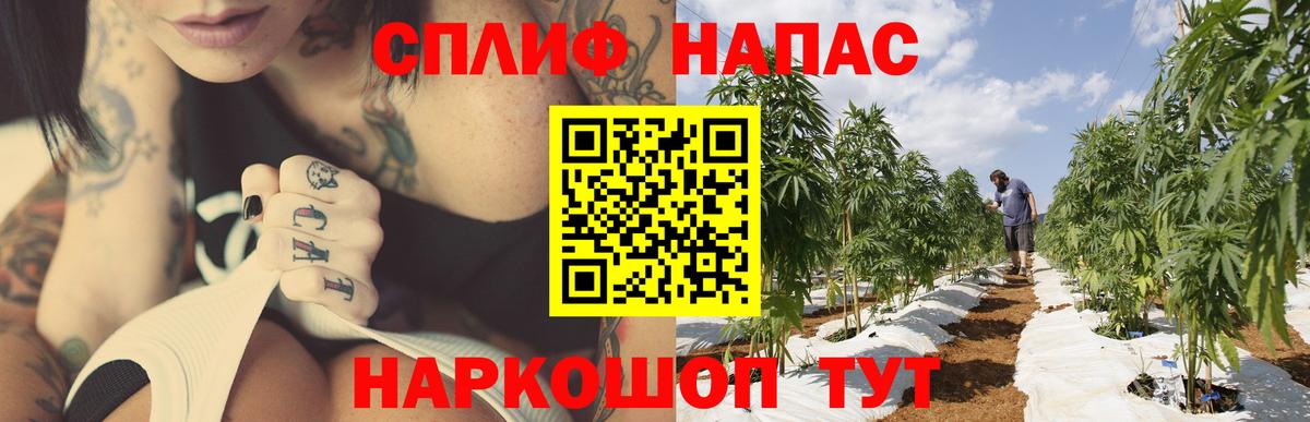 Шишки марихуана марихуана  МАРИХУАНА Amnesia  Каннабис SATIVA & INDICA  Вход с VPN  Тверь 